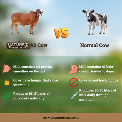 A2 Desi Gir Cow Ghee